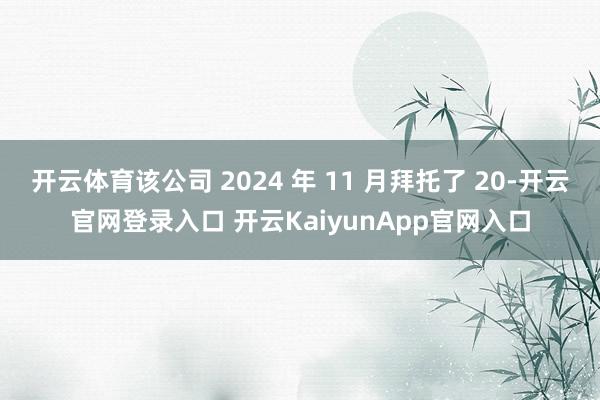 开云体育该公司 2024 年 11 月拜托了 20-开云官网