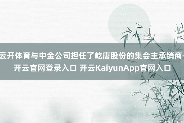 云开体育与中金公司担任了屹唐股份的集会主承销商-开云官网登录入口 开云KaiyunApp官网入口