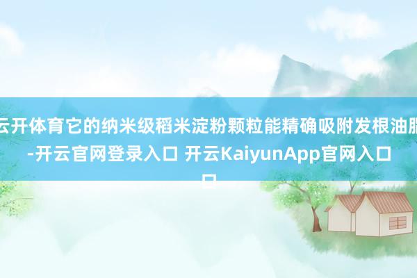 云开体育它的纳米级稻米淀粉颗粒能精确吸附发根油脂-开云官网登