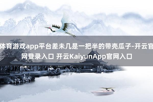 体育游戏app平台差未几是一把半的带壳瓜子-开云官网登录入口